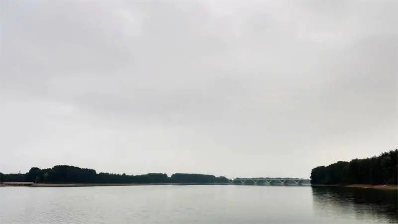 e23ea2440226cc189b527f6659adc649.jpeg